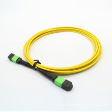 MPO / APC zu MPO / APC Fiber Optical Patchcord